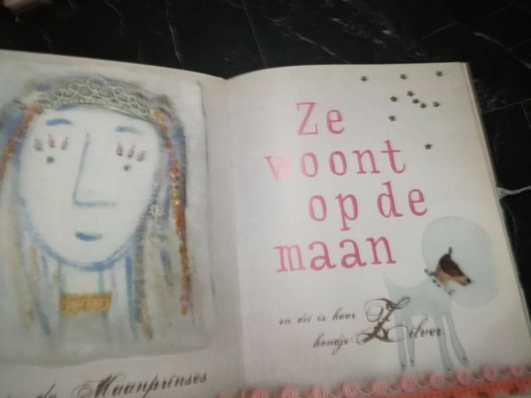 オランダ語 絵本 HetHet prinsessenboek デザイン アート