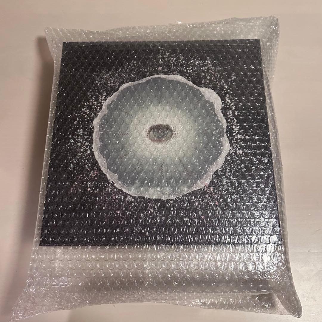 わ*し様 siip ガイア　ダウンロードカード+GOODS 完全生産盤