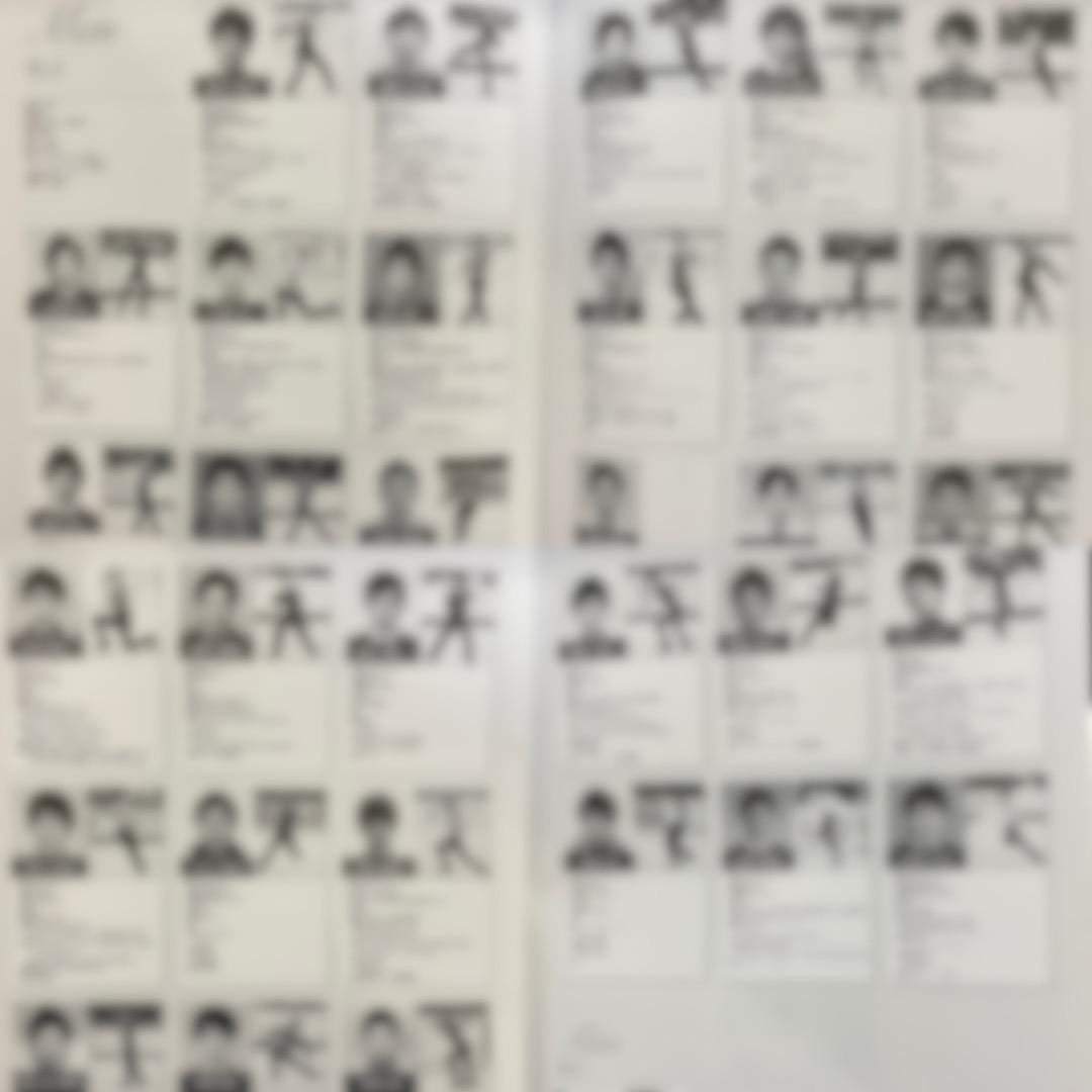 2010全日本フィギュアスケート選手権パンフ羽生結弦浅田真央高橋大輔村元哉中