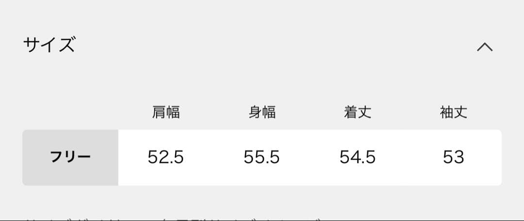 Champion SLOBE IENA 別注 無地ガゼットスウェット