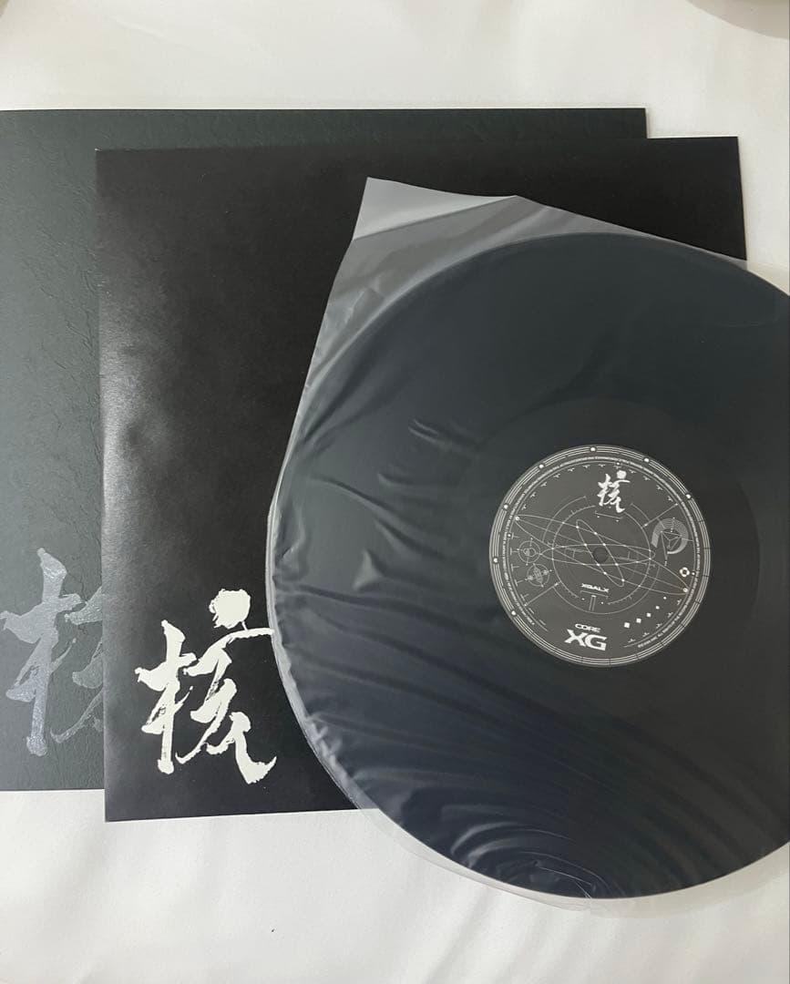 THE CORE - 核 LP レコード　vinyl XG xg core