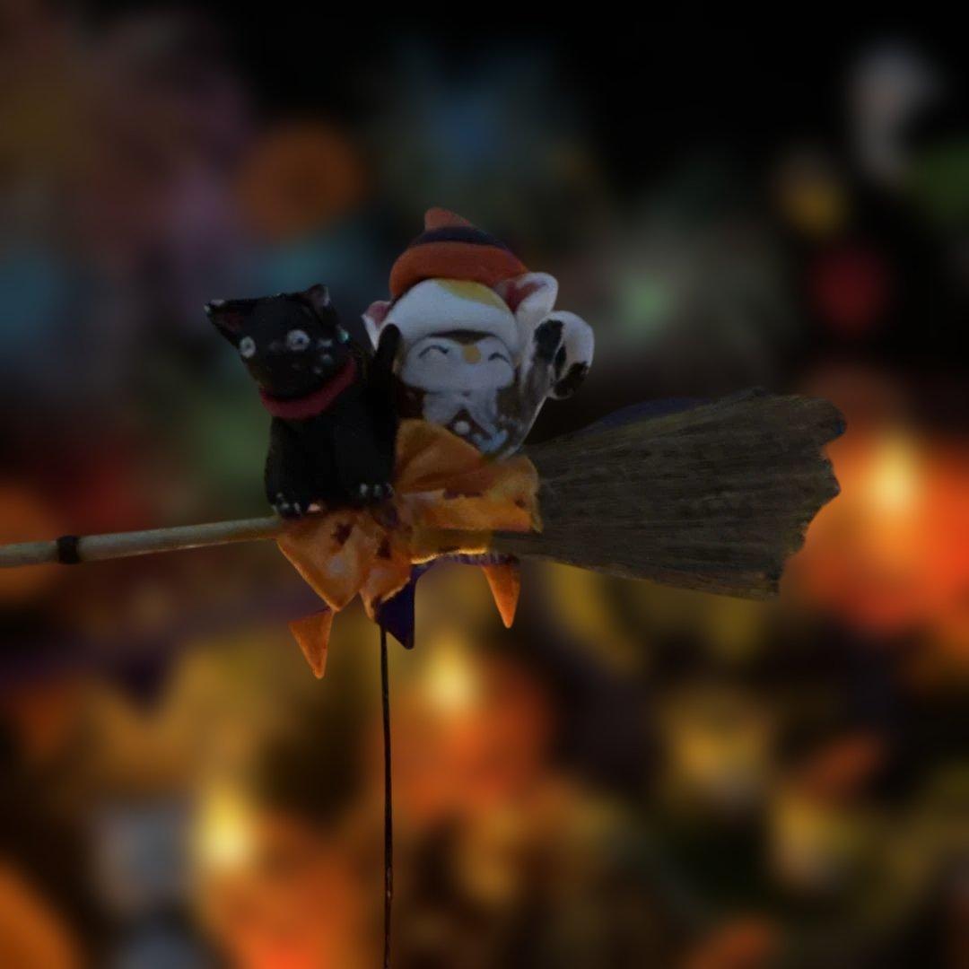 どんぐりアート♡お月見＆Halloweenねこ帽子BIGオブジェ♡