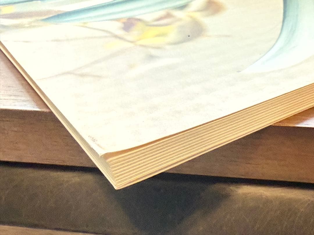 生きている 佐内正史 写真集 初版