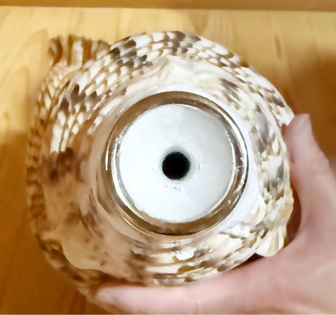 a*0様 希少特大肉厚45㎝修験道法螺貝　山伏　密教　魔除け　熊よけ❣️ほら貝ホ