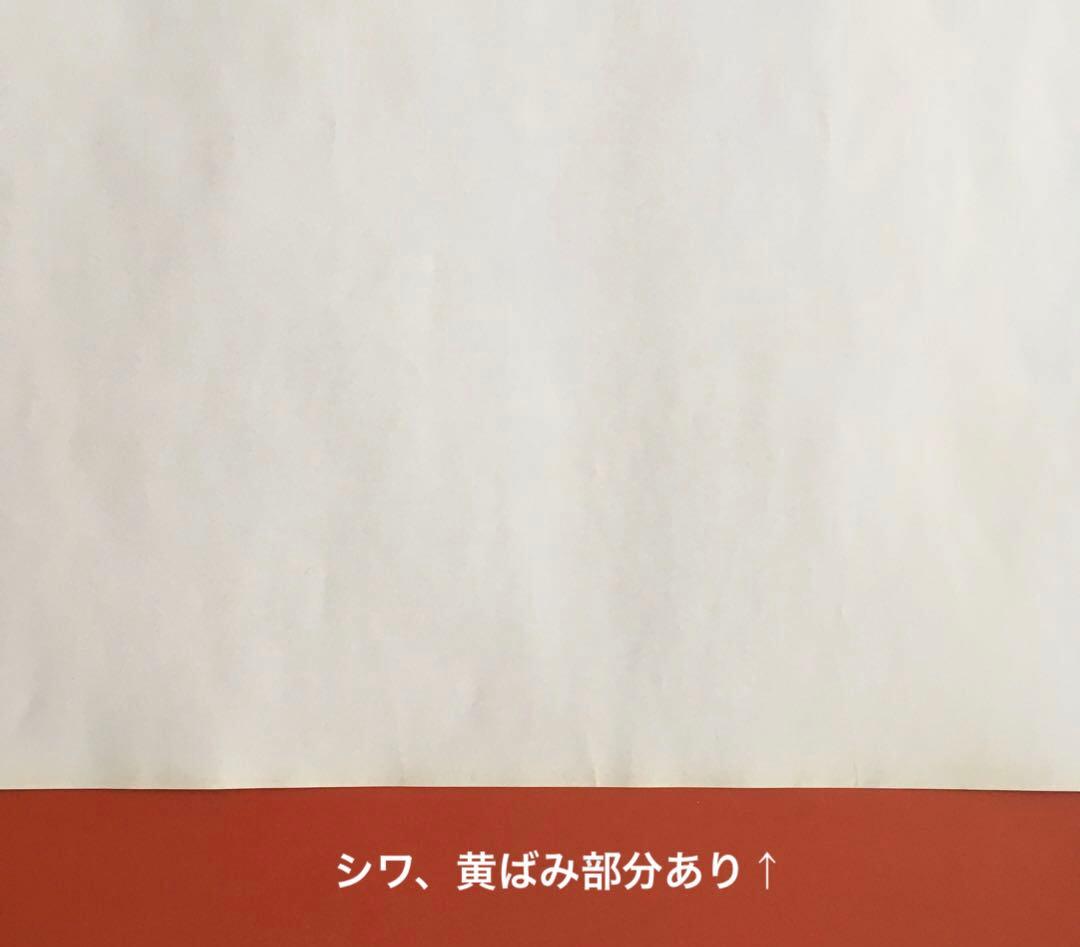 ❷真・女神転生デビルチルドレン 黒の書 赤の書【非売品】ポスター (端破れ有)