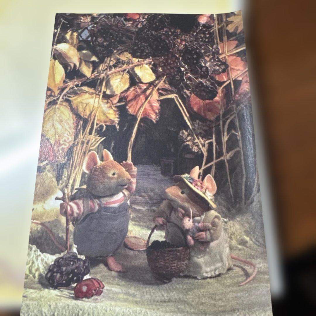 Brambly Hedge のばらの村のものがたりDVD 2枚セット