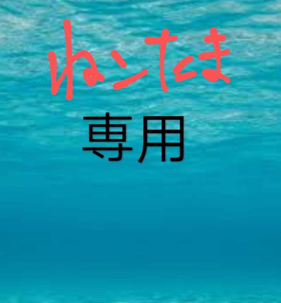 塩筋子２ｋ 特明太子２ｋ ねこたま