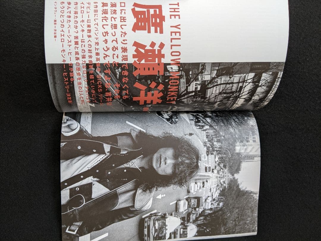 BRIDGE 甲本ヒロト　浜田省吾　THE BOOM　YELLOW MONKEY