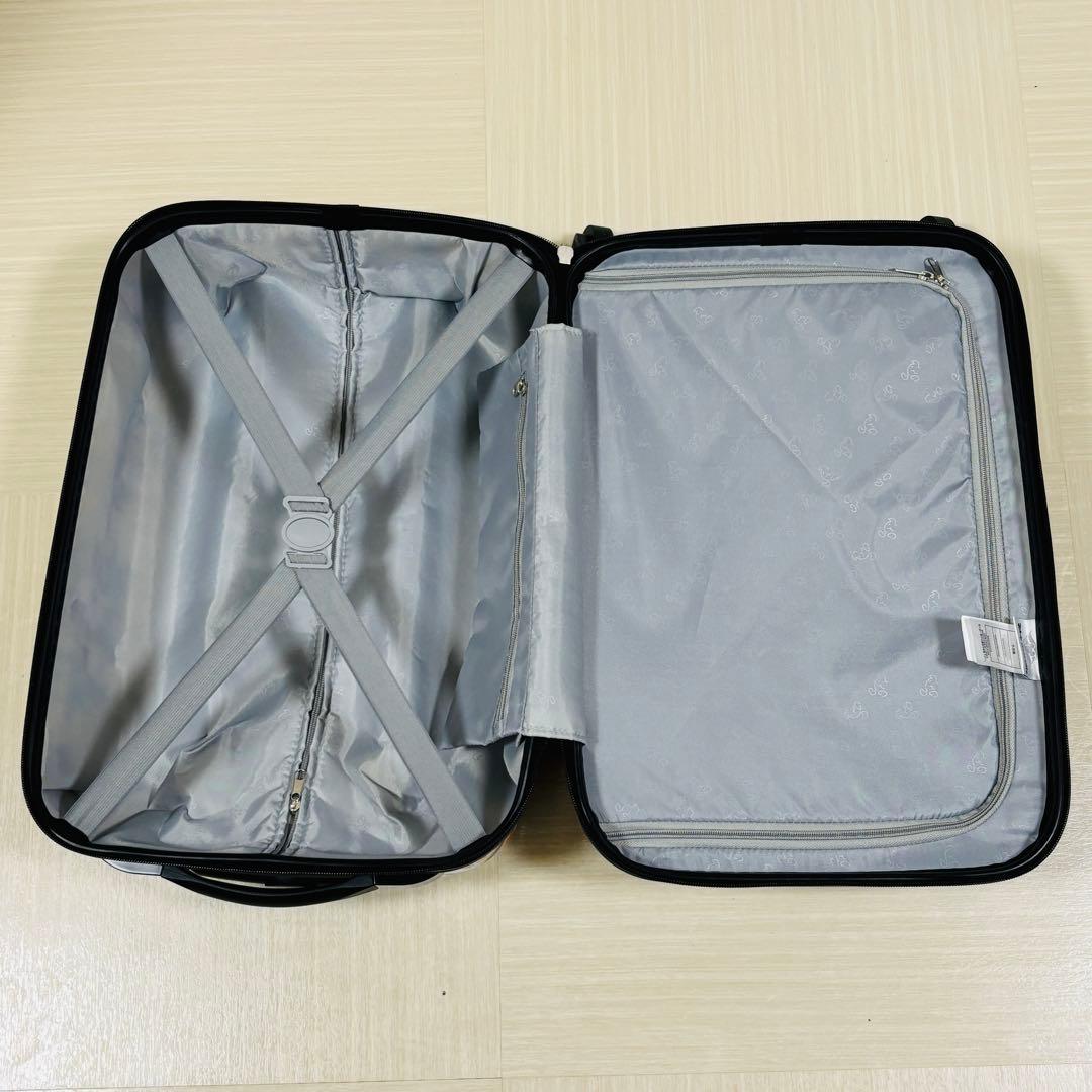 ディズニークルーズ限定　キャリーバッグ