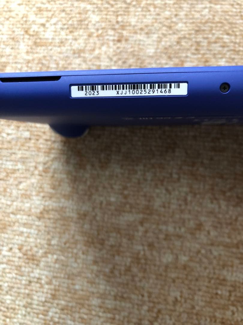 Nintendo Switch Lite 青 本体 ACアダプター付き