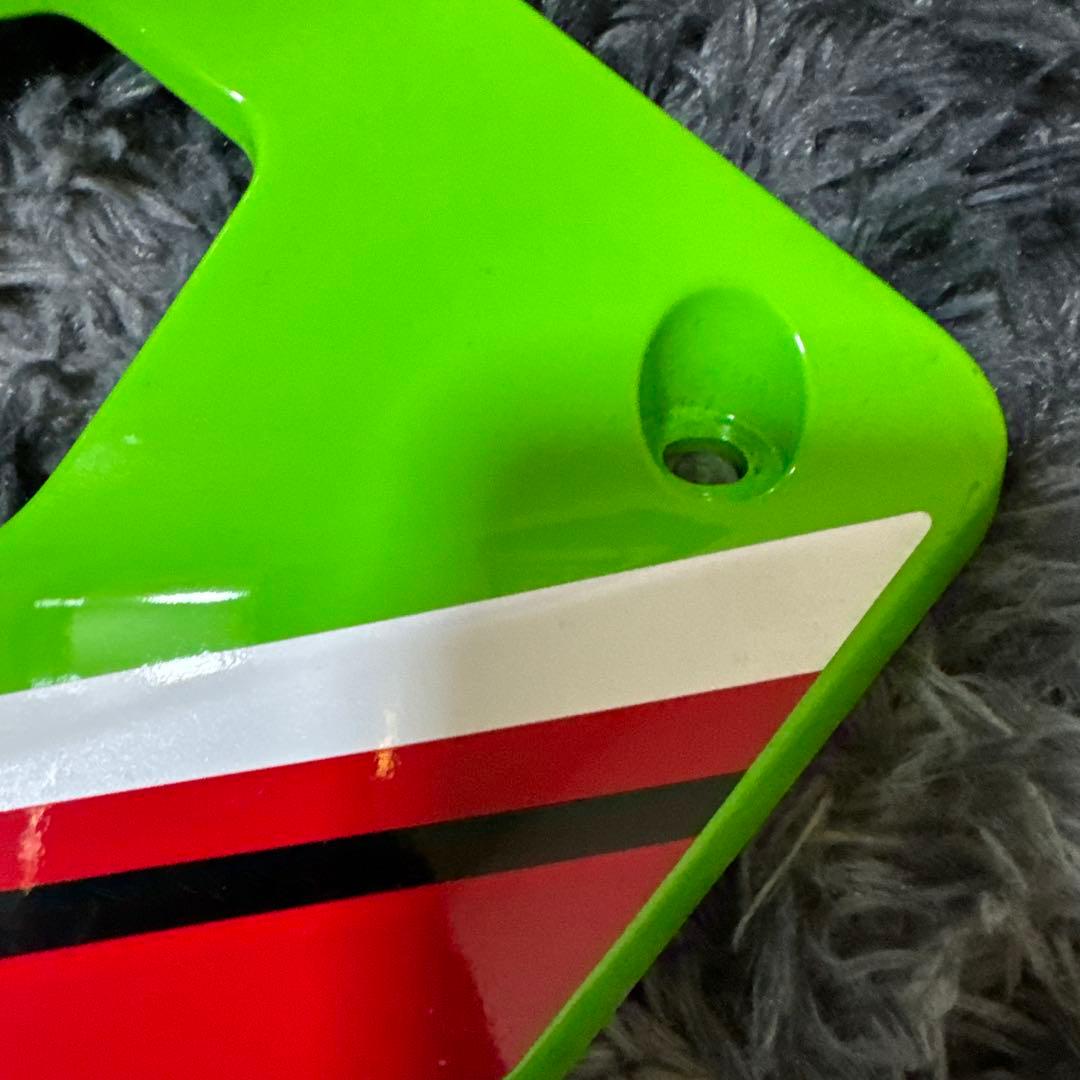 ninja ZX4RR純正アンダーカウル（左）