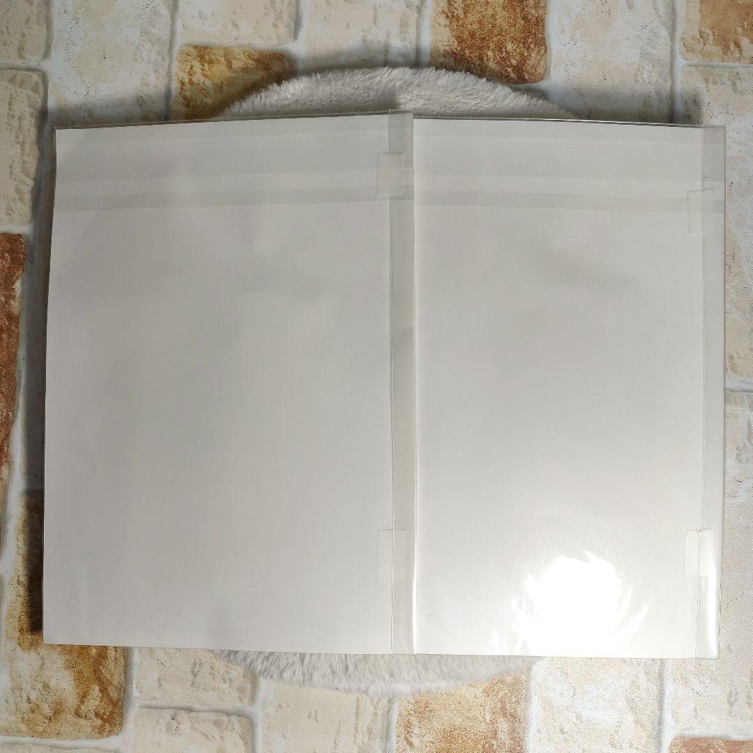 カゲマルデザイン A4 イラスト ポスター 2枚セット