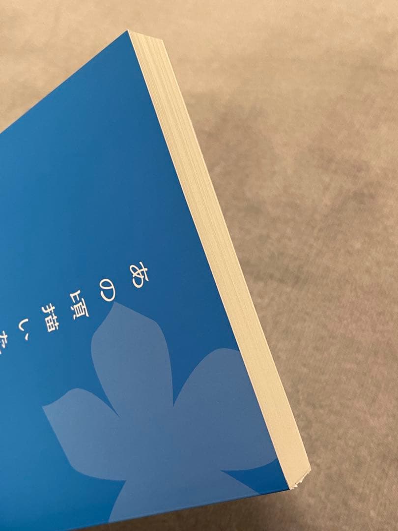 あの頃描いた修正集　3冊セット(劇場版含む)／あの花