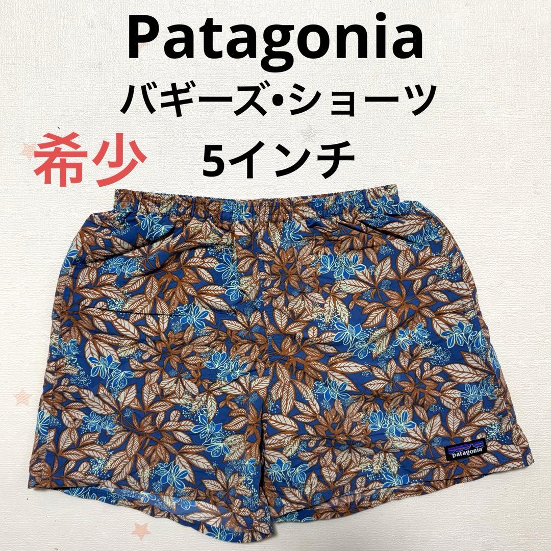 patagonia パタゴニア 20年製 バギーズショーツ 5inch HLSB