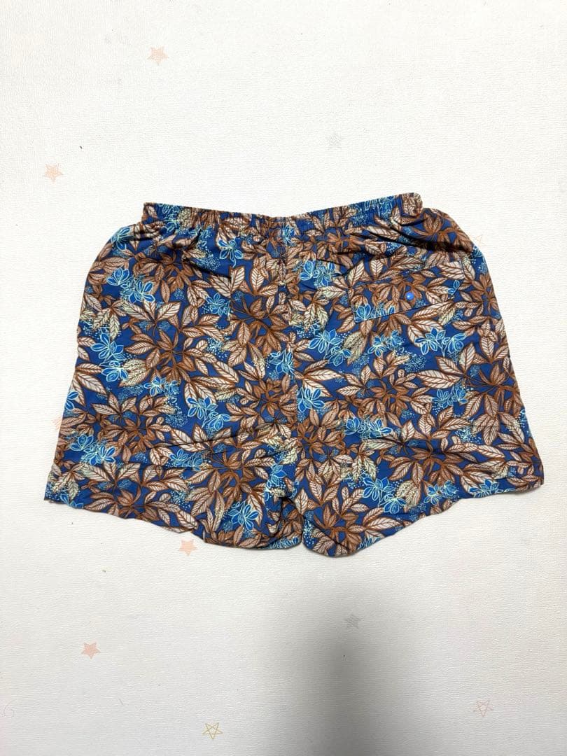 patagonia パタゴニア 20年製 バギーズショーツ 5inch HLSB