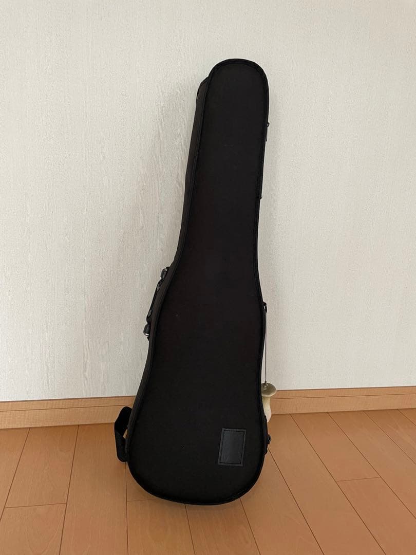 訳あり　GEWA 4/4 バイオリンケース　ブラック
