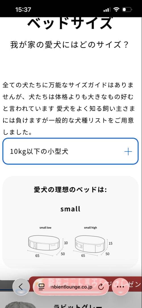 アンビエントラウンジＳサイズ