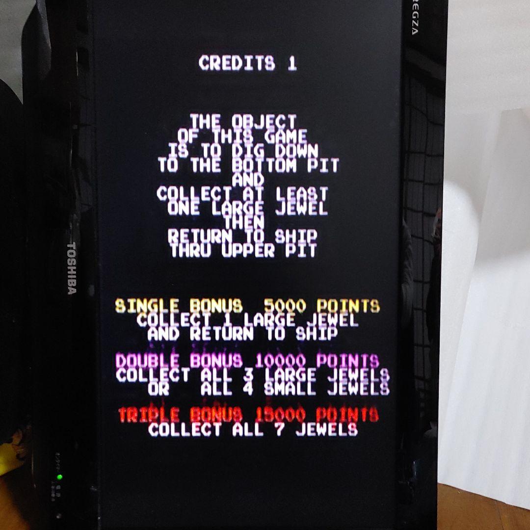 Ｓ*Ｓ様 ザ・ピット 海外版 THE Pit アーケードゲーム基板 ハーネス無し