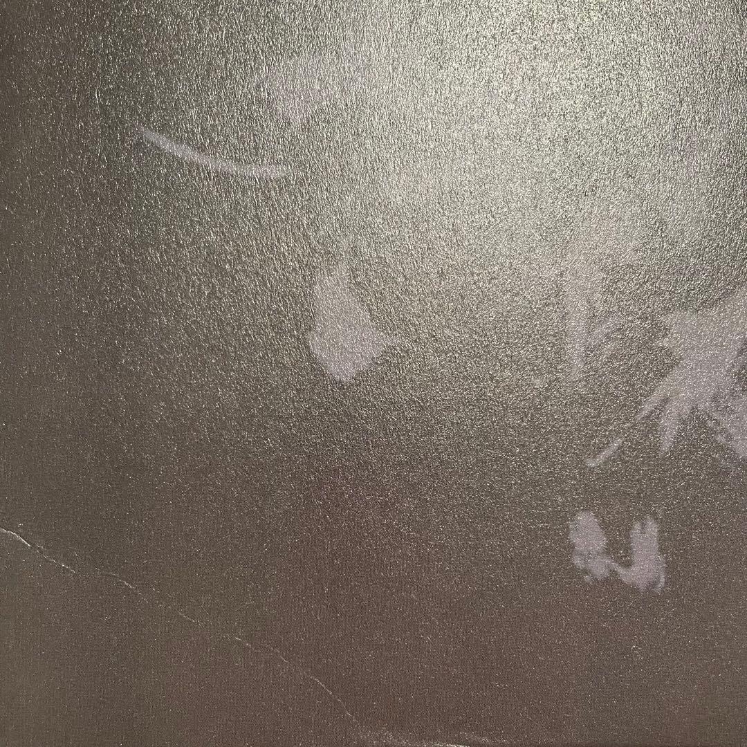 kenさま 花と雨 ROOTS & BUDS LP セット