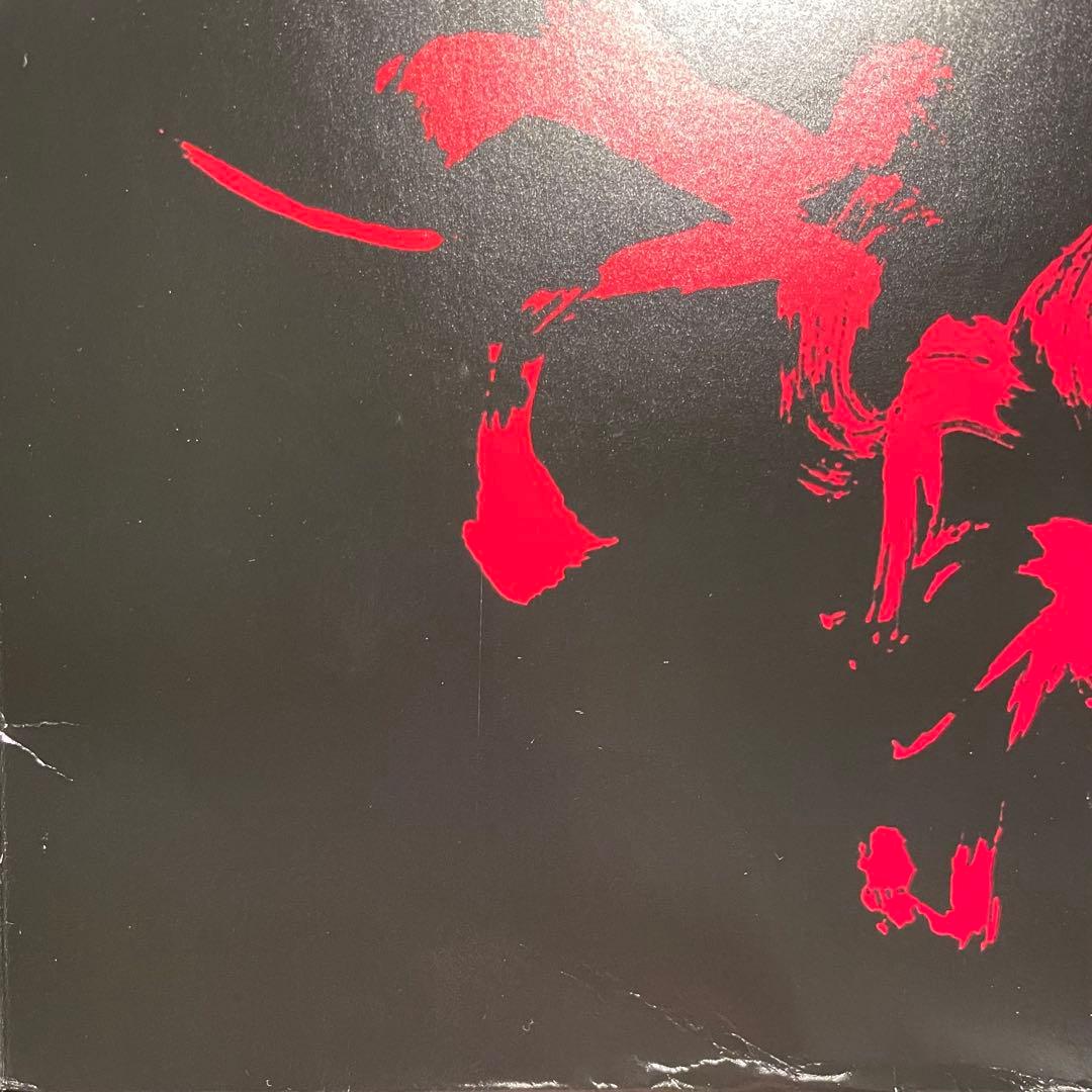 kenさま 花と雨 ROOTS & BUDS LP セット