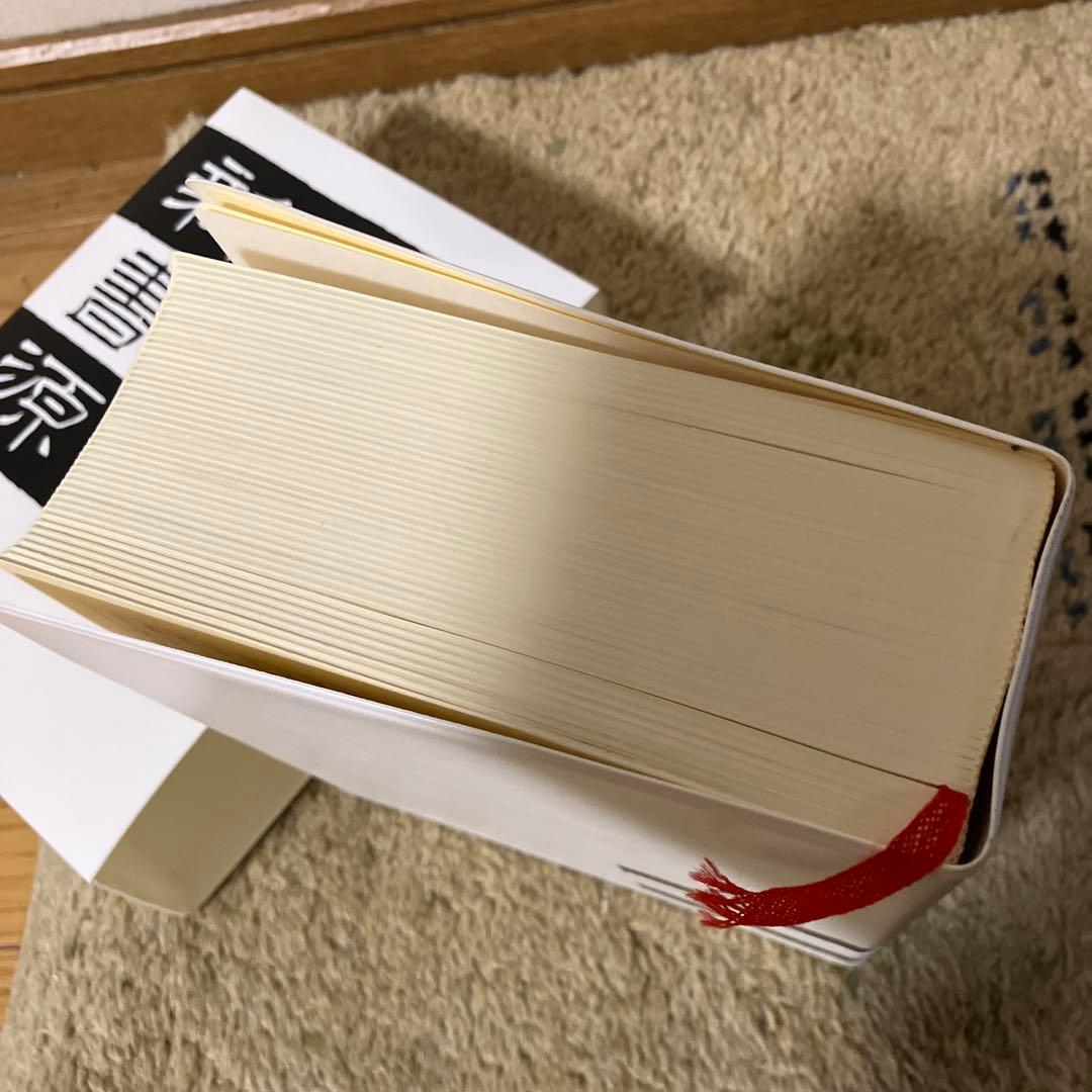 新書源　二玄社　美品です