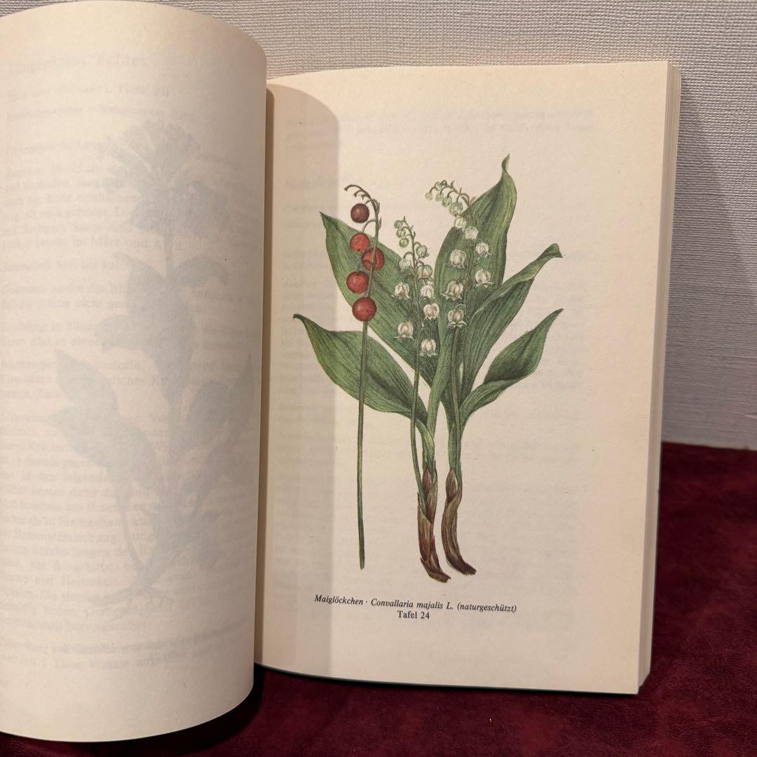 ❤️ Claire 様5冊おまとめ専用 112⑦1990年ドイツ植物図鑑
