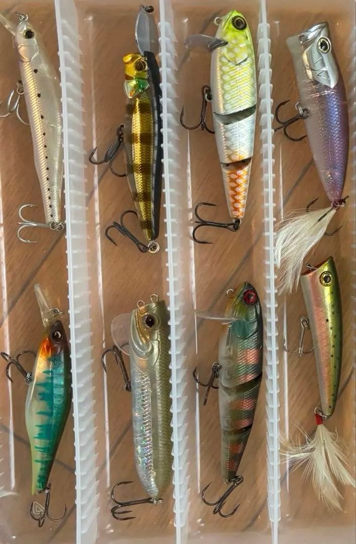 希少 廃盤 レア バス釣り引退セット！ TNトリゴン 他多種【新品未使用】