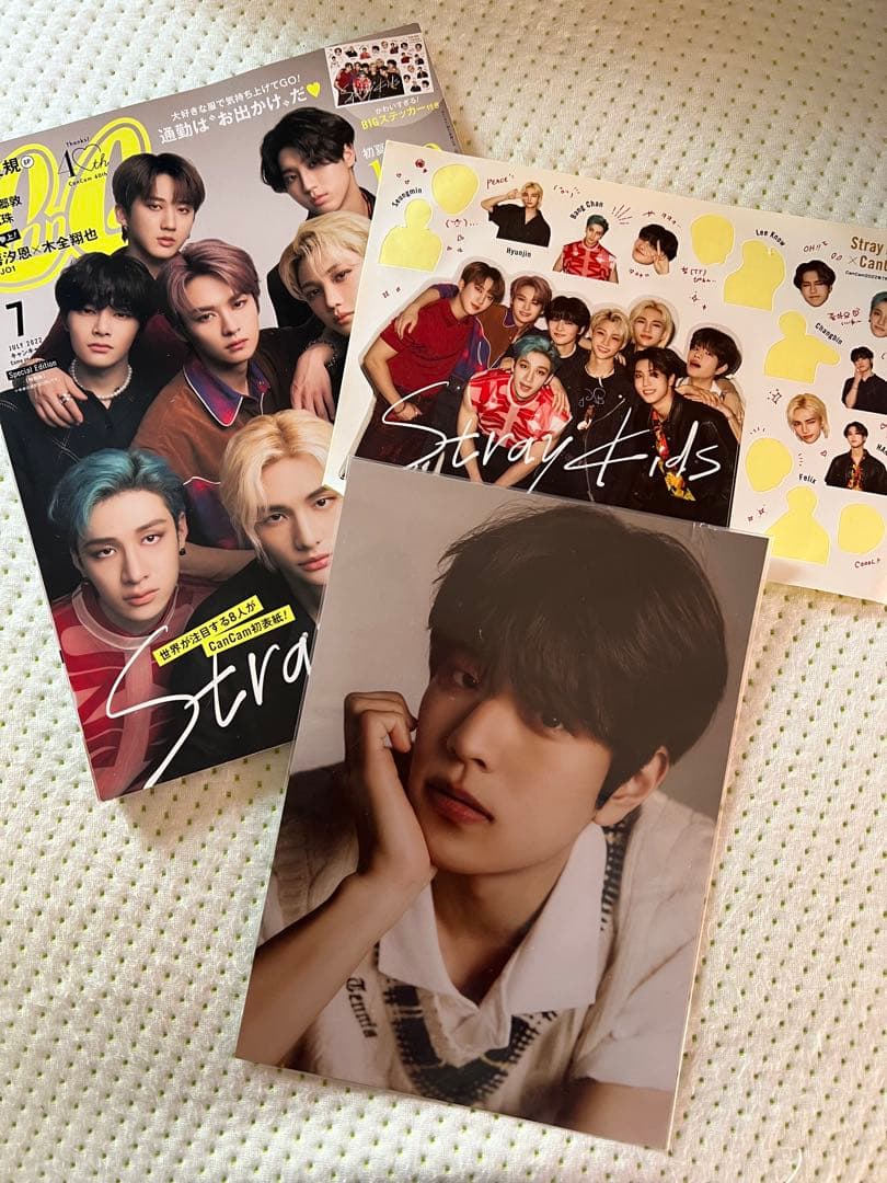 【Stray Kids スキズ アルバム＆トレカセット】