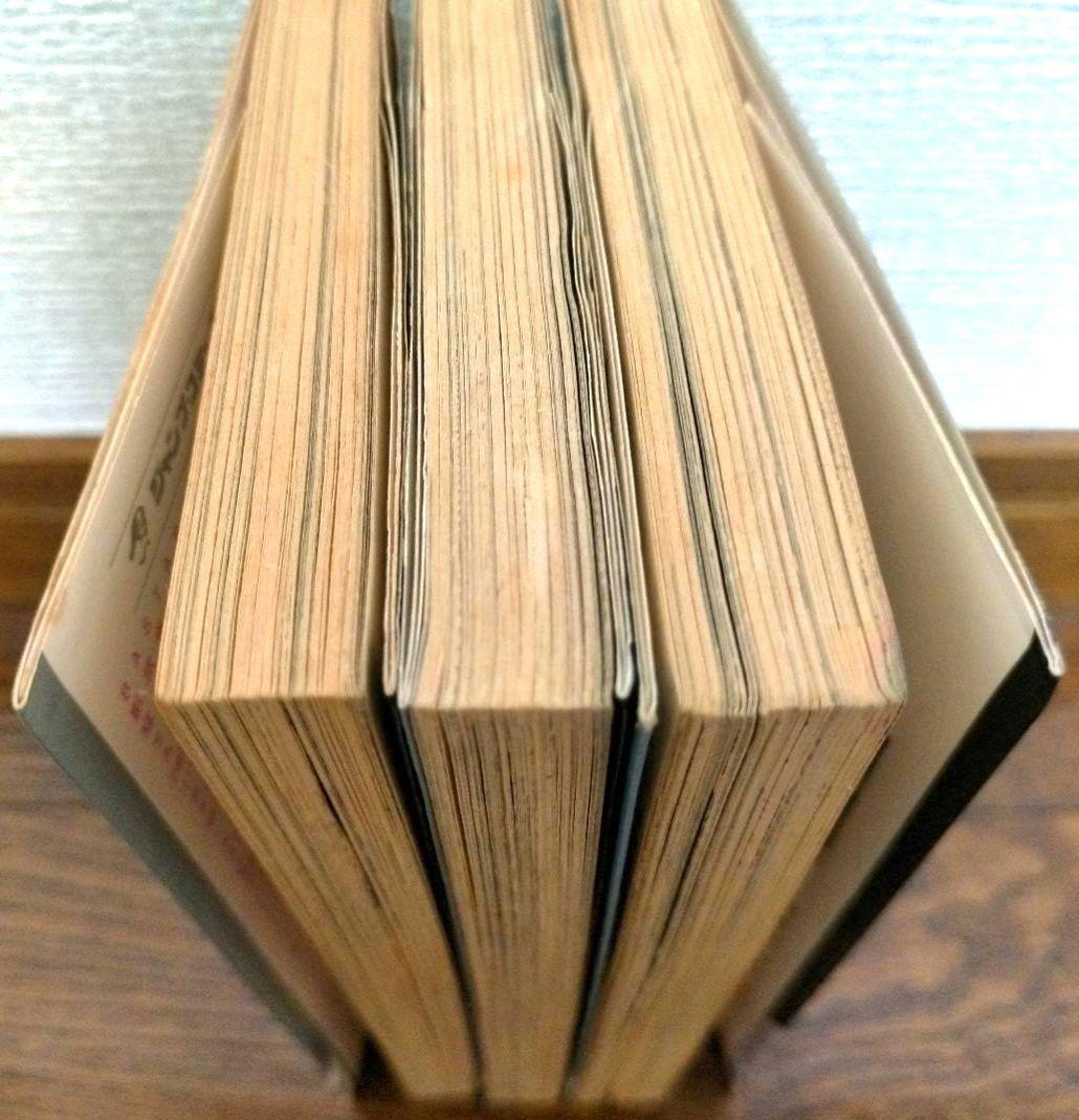 レベルE HUNTER × HUNTER 蒼天航路 全巻