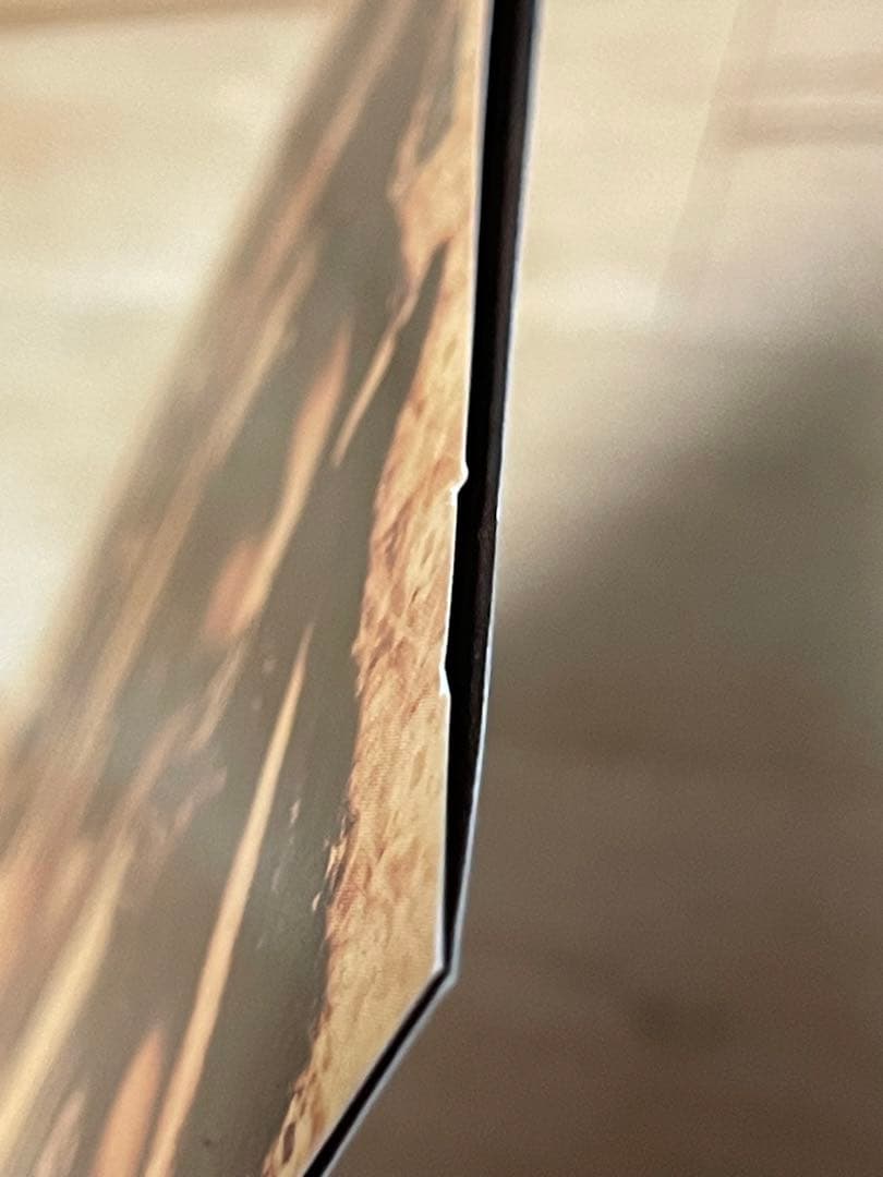 ティポグラフィカ『ティポグラフィカ』　CD　菊地成孔　希少　激レア