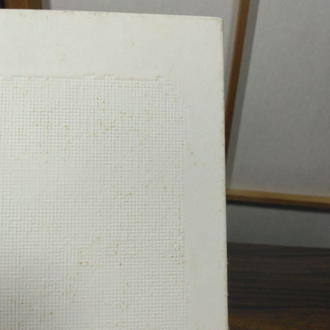 SHEILA HICKS WEAVING AS PHOR　洋書