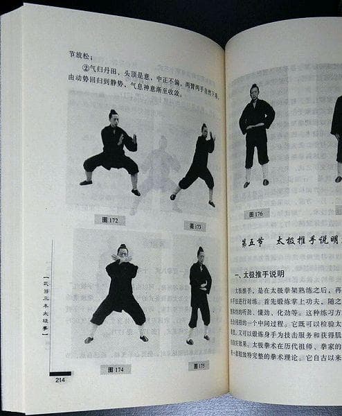 武当三封太極拳（武當三豐太極拳）　劉嗣傳 著　人民体育出版社　中文　洋書