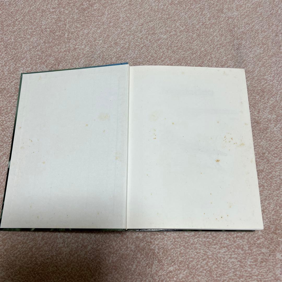 洋書　MANTODEA カマキリ