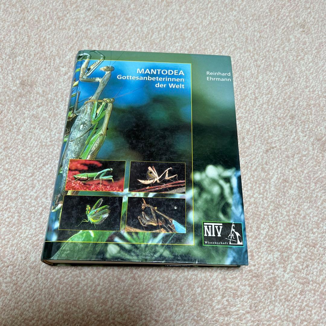 洋書　MANTODEA カマキリ