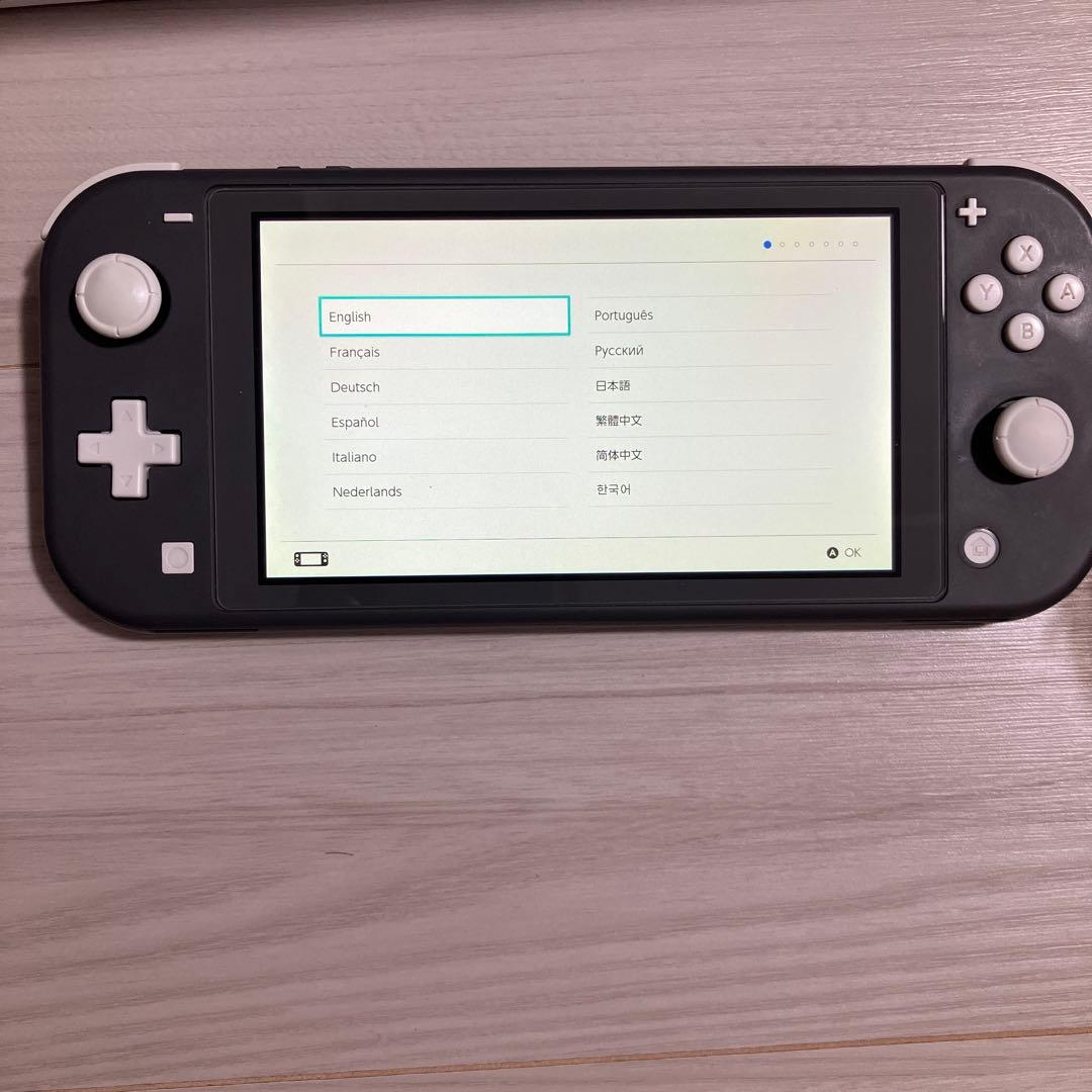 左*作様 Nintendo Switch Lite グレー 本体