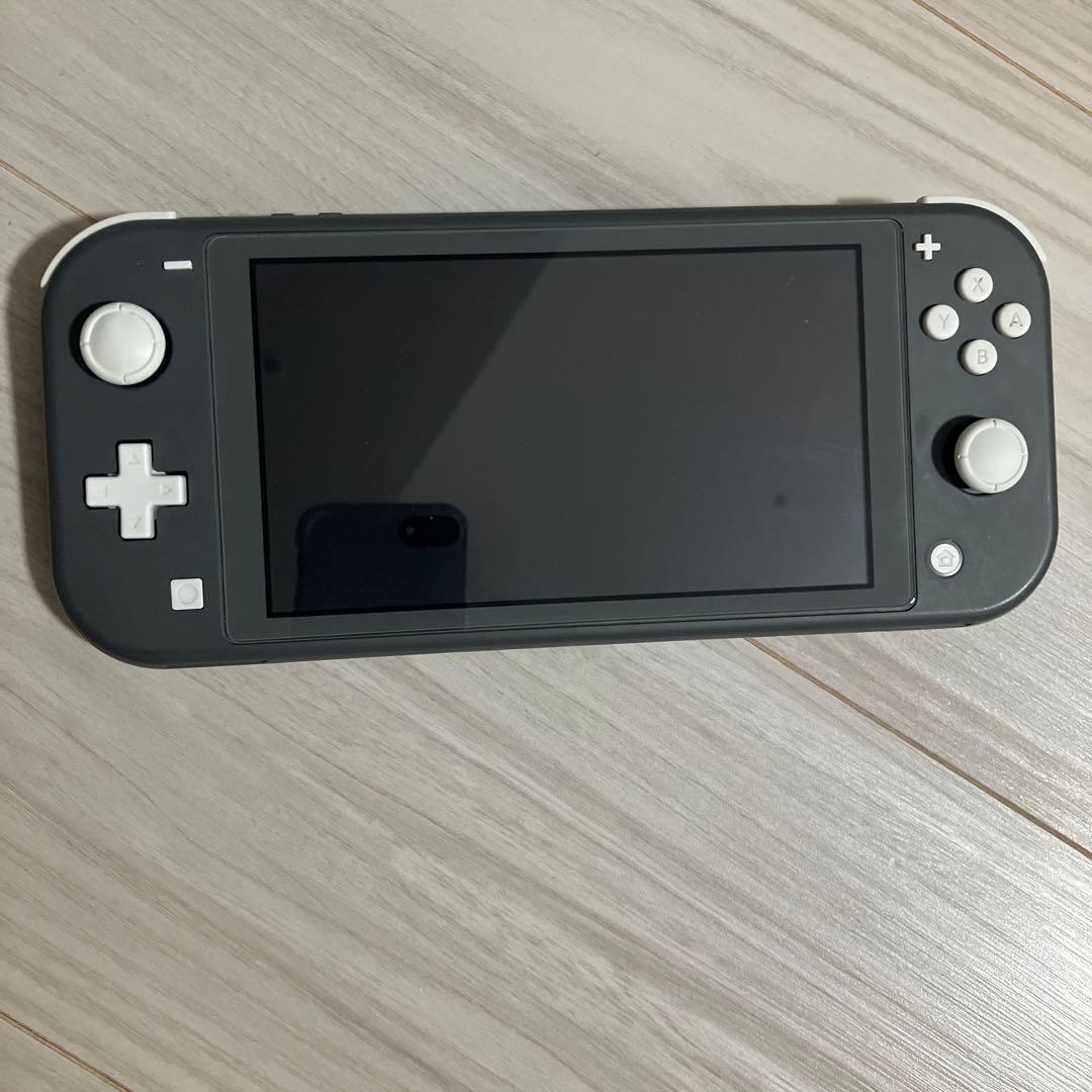 左*作様 Nintendo Switch Lite グレー 本体