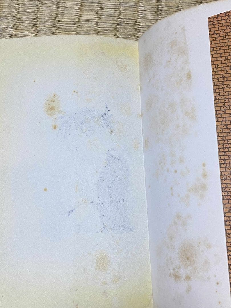 名探偵コナン 53 初版　Gペンでサイン入れ 世界の人気漫画　コレクション