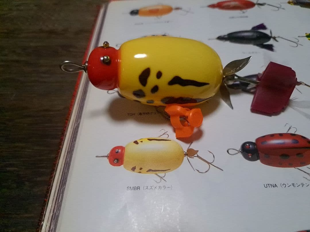 道楽　DOWLUCK 　ドウラク　津屋川亀吉　SMBR　スズメカラー