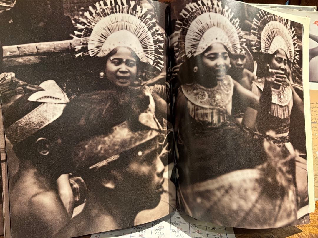 Bali in the 1930s 写真集