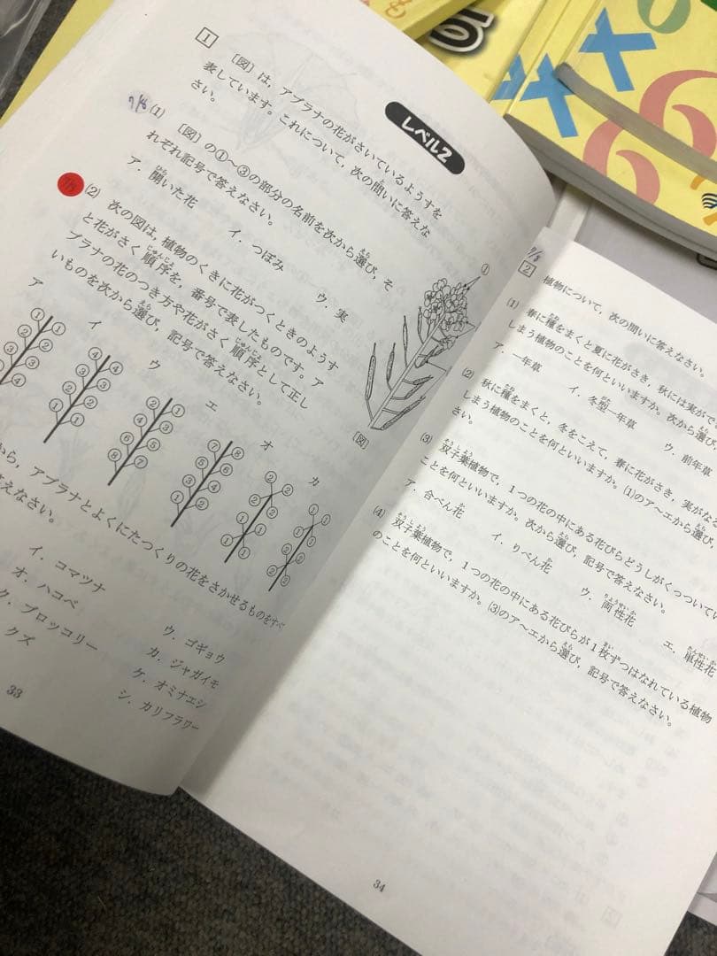 浜学園　小4　国語/算数/理科/夏冬テキスト　2021年使用版　 中古