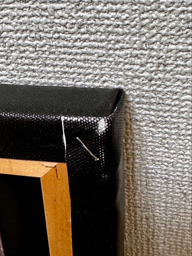 hide キャンバスCD SPIRIT 限定品　CD未開封