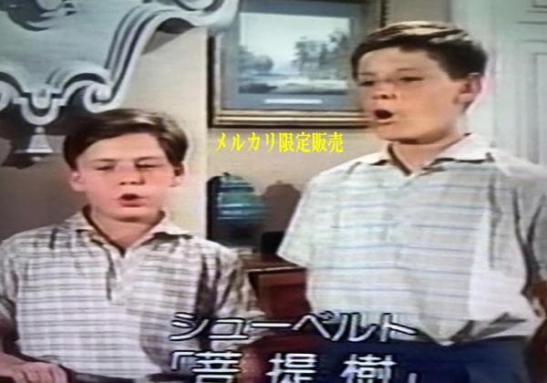 ★ウィーン少年合唱団★映画★青きドナウ★ディズニー１９６２年作品★ＤＶＤ★希少！