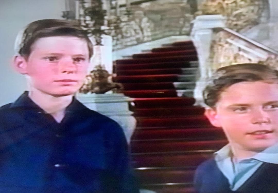 ★ウィーン少年合唱団★映画★青きドナウ★ディズニー１９６２年作品★ＤＶＤ★希少！