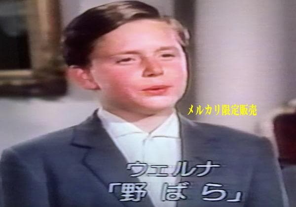 ★ウィーン少年合唱団★映画★青きドナウ★ディズニー１９６２年作品★ＤＶＤ★希少！