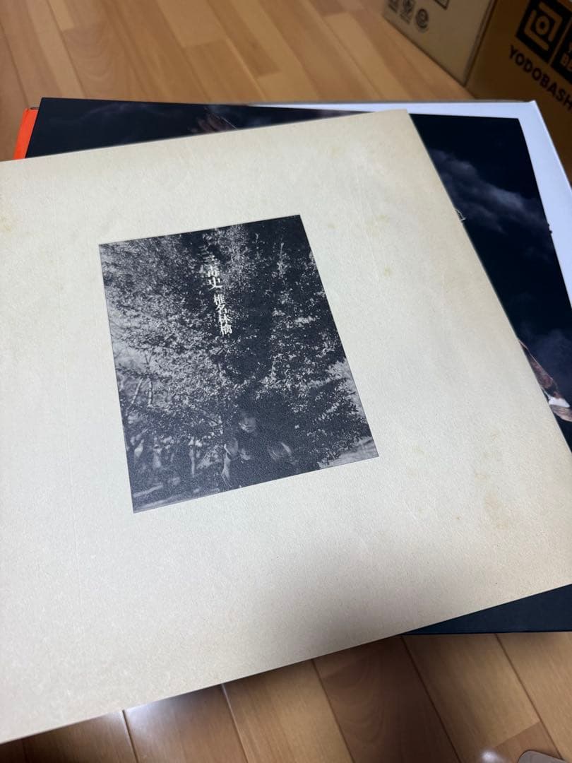 椎名林檎 \"三毒史\" 初回限定2枚組レコード