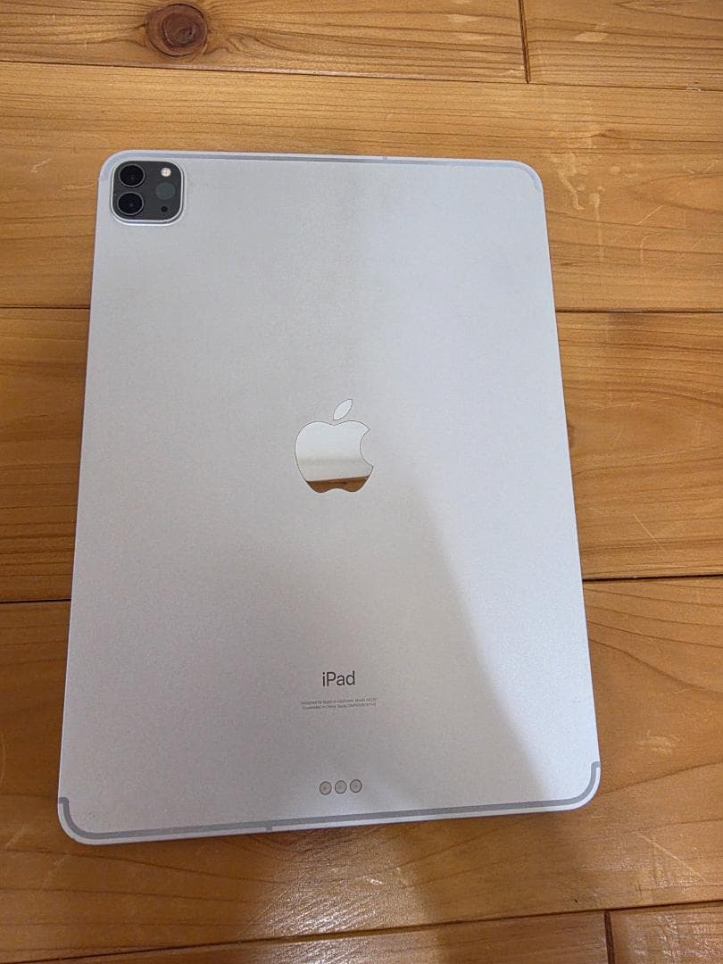Apple iPad Pro (11インチ)　（第２世代）512GB　ジャンク