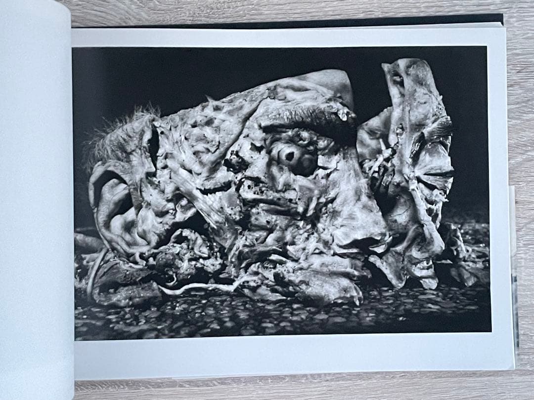 猪瀬光 全作品 写真集 INOSE KOU