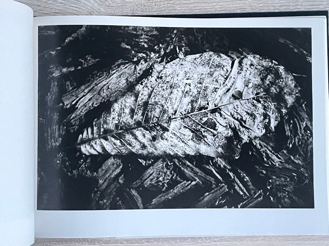 猪瀬光 全作品 写真集 INOSE KOU