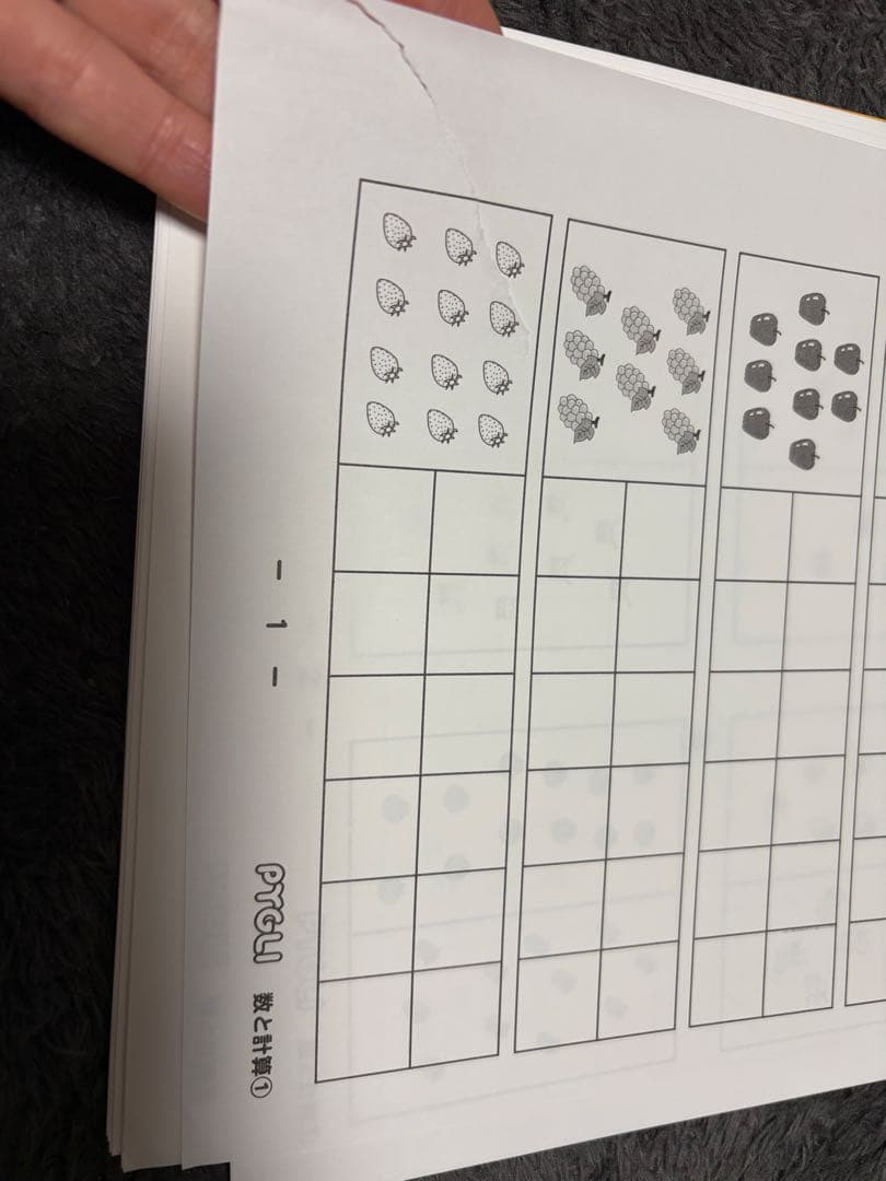 ピグマリオン PYGLIシリーズ 能力育成問題集 全40冊　裁断済