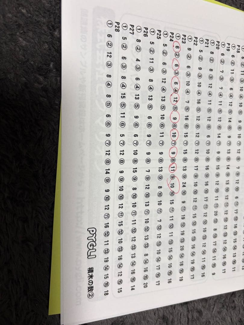 ピグマリオン PYGLIシリーズ 能力育成問題集 全40冊　裁断済